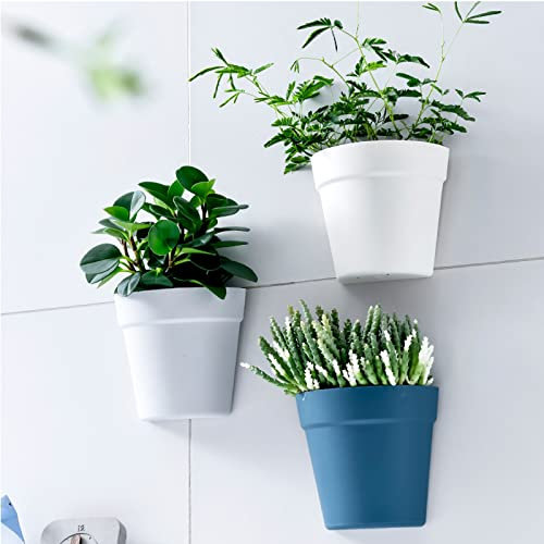 ZMJGLL Vaso da Fiori a Parete Nordic Minimalista Creativo Appeso al Muro Vaso da Fiori succulento Verde aneto Semicerchio Cesto Appeso in plastica Vaso