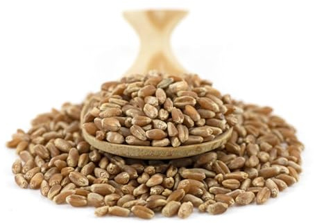 Sussex Wholefoods Organic Wheat Grain 1kg: Premium Quality, Versatile Whole Grain