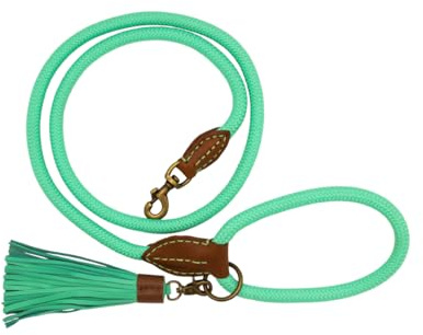 DWAM Dog with a Mission - Hundeleine – Leine für Hunde – Türkis – Polyester - Leder - Tau – L – 155 x 1.4 cm – Jade