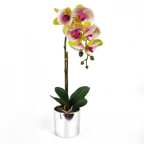 Leaf Design UK realistisk konstgjord orkidé blomma display i kruka