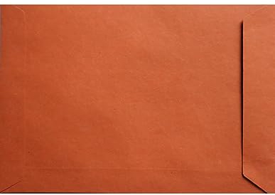 Netuno 25 x kuvert DIN C5 orange 162 x 229 mm 110 g design eco brevkuvert stor a5 kuvert ekologiskt papper färgad fraktväska stor självhäftande utan fönster återvinning brevkuvert c5