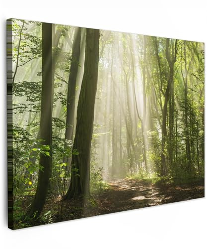 MuchoWow© Impression sur Toile Peinture Tableau Mural Decoration Salon | 80x60 cm - Reproductions de Tableaux Murale Moderne Forêt - Nature - Saison - Vert