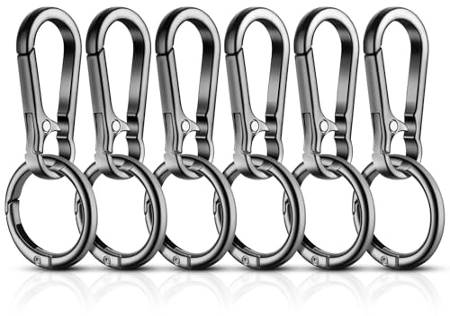 flintronic 6 Stück Karabiner Schlüsselanhänger, Karabinerhaken Schlüsselanhänger Metall, Abnehmbare Schlüsselkarabiner für Autoschlüssel, Rucksack, Camping, Reisen (Schwarz)