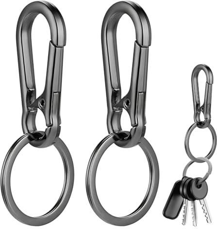 SGERUFZ 2 Pièces Mini Mousqueton Porte Clé, Porte Clef, en Métal, Porte-Clés Homme avec Anneau Porte Clé pour Accrocher dans Le Sac à Dos, Clés de Voiture