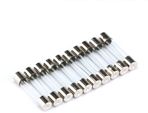 Glassicherung, Rohrsicherung, 6 x 30 mm, schnelle Sicherung, 250 V, 0,5 A, 1 A, 2 A, 3 A, 4 A, 5 A, 6 A, 8 A, 10 A, 12 A, 15 A, 20 A, 25 A, 30 A(100Pcs 5A)