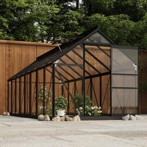 Serre en verre anthracite pour pelouse et jardin, jardin, 155 x 395,5 x 191 cm