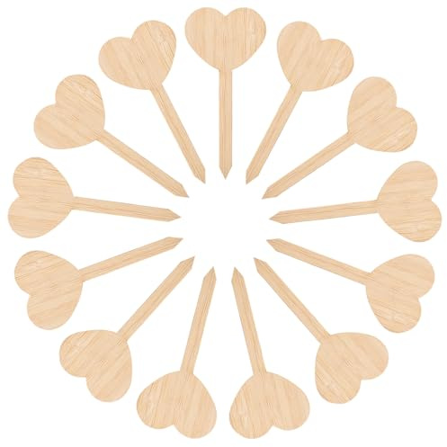 NUOBESTY 20 Pezzi Etichette per Piante da Giardino in Legno a Forma di Cuore, Picchetti per Etichette in Legno per Piante in Vaso, Marcatore Doppia Faccia per Decorazioni Giardino e Vaso,