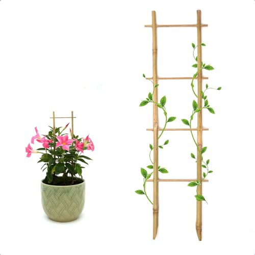COLOtime Bambus-Spalier, 40,6 cm, Leiterform, kleine Pflanzen-Rankgitter für Topfpflanzen, Kletterpflanzen, Monstera, Orchidee, Rebe, Hoya, Zimmerpflanze, 3 Stück