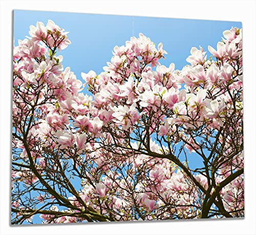 Wallario Herdabdeckplatte/Spritzschutz aus Glas, 2-teilig, 60x52cm, für Ceran- und Induktionsherde, Schöne rosa Magnolien-Blüten vor blauem Himmel