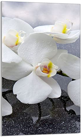DarHaus Herdabdeckplatte 1 Teilig 30x52 cm Ceranfeldabdeckung Küche Elektroherd Induktion Herdschutz Spritzschutz Glasplatte Schneidebrett, Orchidee Weiß