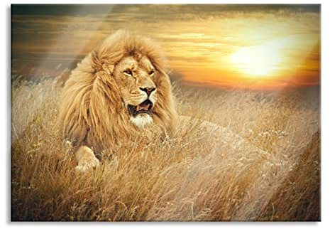 Pixxprint Glasbild, Wandbild aus Echtglas, mächtiger Löwe, 100x70 cm, inkl. Aufhängung und Abstandshalter