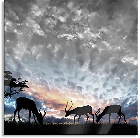 Pixxprint Glasbild, Wandbild auf Echtglas, Tiere in der Natur, 40x40 cm, inkl. Aufhängung und Abstandshalter