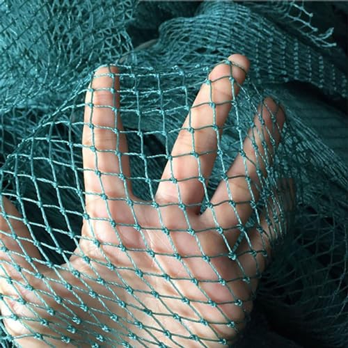 PanHuiWen Schutznetz TreppengeläNder Netz Vogelschutz Weitmaschig Katzennest Maschenweite 1.5x1.5cm Pool Netz für Garten, Balkon oder Teich Kirschbaum,10x10m