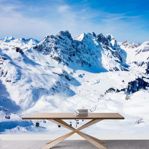 Fototapete Schnee 3D Effekt Vliestapete Winterschnee Foto Tapete Wohnzimmer Schlafzimmer Flur Wandtapete Motivtapeten Bildtapete Wand Deko 450x315 cm 3928a
