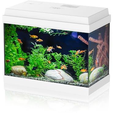 AQPET Acquario in Vetro per Pesci Tropicali Completo di Accessori Filtro Luce Simply, 30 39x22x30 cm 30 Litri, Bianco