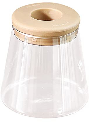 Pot Monstera Hydroponique Transparent Absorbant l'eau Plantation Plante Pot De Fleurs sans Sol Vert Patio Jardin (A, One Size)