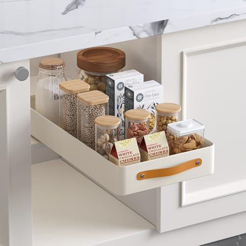 Hodeffior 1 Stück Teleskopschublade mit Griff & Kleber – Ausziehbarer Küchenorganizer für Schränke (25x48x7.5 cm) – Gewürzregal & Aufbewahrung für Küche/Bad – Ohne Bohren