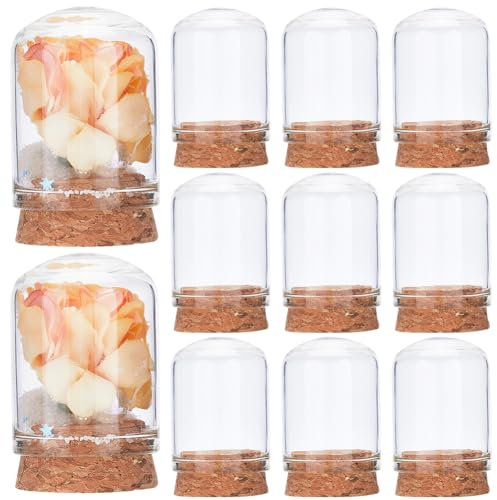 CRASPIRE 10 pz Cupola in Vetro Cloche con Base in Sughero Campana da 1.2 x 1.6 Pollici Mini Espositore Copertura Fiala Fai da Te Terrario Cabochon Bottiglie Contenitore Decorazione in Legno per