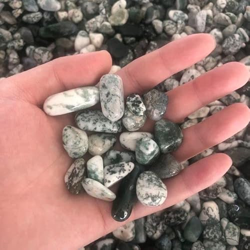 UYCUODLUY Ungefähr 200 g/Packung, 1,5–2,5 cm, polierter Aquatic Moos Achat-Kristall, getrommelt, for LLW –