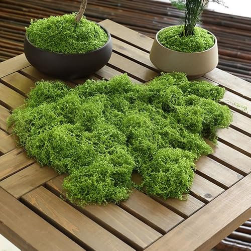 Best ZOIKOM 200g Kunstmoos zum Dekorieren, Kunstmoos zum Basteln Künstliches Moos Deko Kunst Moos Fake Dekomoos Bastelmoos für Kunstrasen Miniaturgarten,Miniatur Garten Deko (200, Gramm)