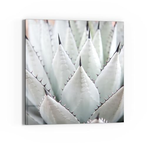 DEQORI Quadro in vetro acrilico, motivo estetico agave, quadrato, 50 x 50 cm, bella decorazione, per soggiorno, camera da letto, corridoio e cucina, decorazione moderna da parete
