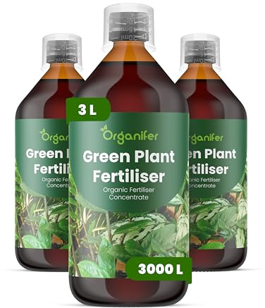 Engrais liquide organique 3x1L pour Plante verte – favorise croissance et santé – Organifer