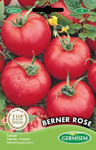 Germisem Berner Rose Semi di Pomodoro 0.5 g