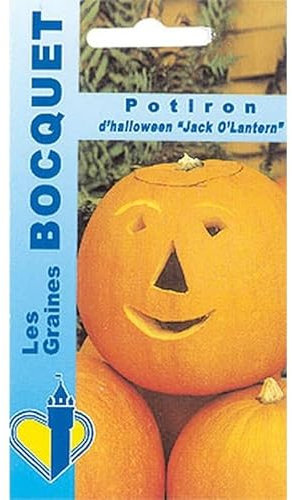 Sachet de graines de Potiron Jack O'Lantern - 5 g - légume fruit - LES GRAINES BOCQUET