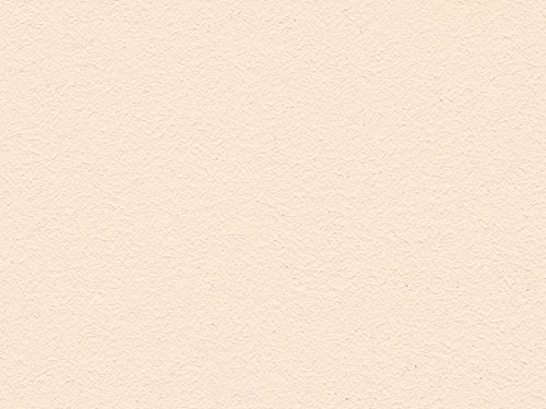 Volvox Espressivo Lehmfarbe - Wandfarbe matt - hohe Deckkraft - streichfertige Naturfarbe PG B acapulco gold 2,5 L