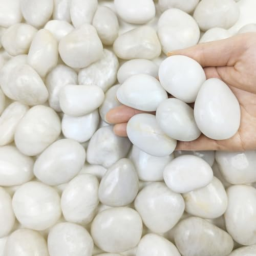 FANTIAN Natural Polished White Pebbles - Smooth Small River Rocks for Plants, Aquariums，Vase Fillers and Fairy Garden (2, Medium)