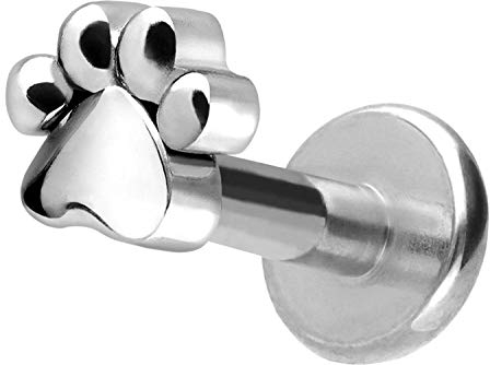 PIERCINGLINE Titan Labret mit Gewinde PFOTE Piercing Lippe Nase Ohr Helix Silberfarben 1,2 x 6 mm