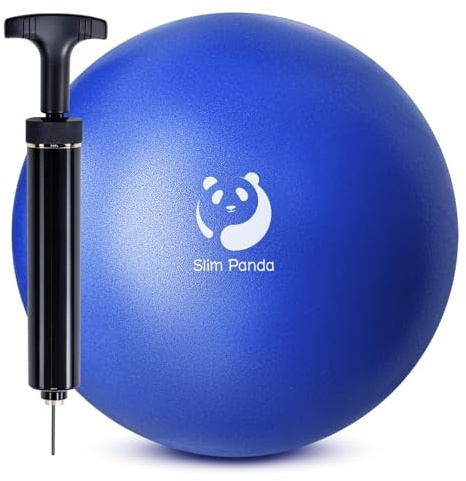 Slim Panda Palla Pilates Piccola,23-25cm Anti Scoppio Antiscivolo Palla Ginnastica con Pompa,Soft PVC Palla da Yoga per Fitness(Ugello di Gonfiaggio Anti-perdita)