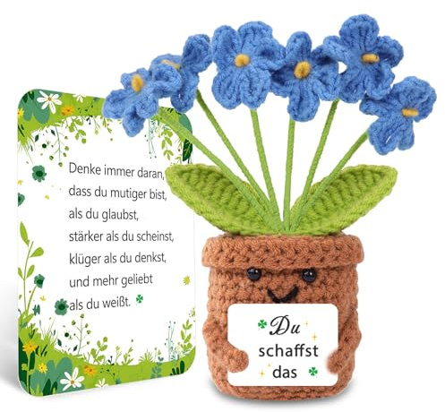 BOAITE Gestricktes Vergissmeinnicht zum Schulanfang, Du Schaffst Das Mutmacher Glücksbringer Prüfung Geschenk, Ermutigende Geschenke, Dankeschön Geschenke Positive Kartoffel Deutsch Ersatz