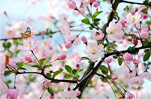 XiuTaiLtd Papel Tapiz Fotográfico Para Habitación De Niños Fotografía De Techo Flor Mariposa Papel Tapiz Fotográfico Mural Papel Tapiz Con Motivos Papel Tapiz De Seda Papel Tapiz 3D Efecto-200x140 CM