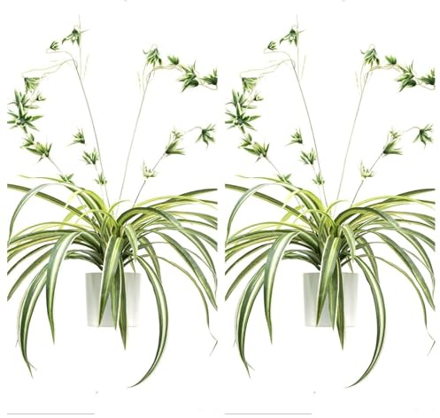 Niwugady 2 Stück Künstliche Grünlilie Chlorophytum Comosum, Spinnenpflanze, Spinnenlilie Hängepflanze, Kunstpflanze Hängend, Dekoration für den Innen- und Außenbereich, Haus, Garten, Büro, 60cm