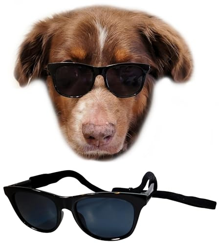 G006 Dog Medium Breeds 20-40 lbs Pet Cat 80s Costume Prop Sunglasses (Black)