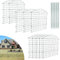 Ikodm Clôture de jardin - Kit complet - 10 pièces - Clôture de bassin en métal - 22 éléments de clôture - 10 éléments de clôture - 12 barres de fixation - Clôture de protection pour étang