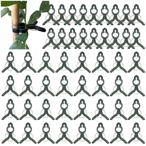 Lpitoy 50pcs Garden Plant Support Clips Vines Flower Clamps Rings Climbing Plants Conical Trellis Supporter Frame for Greenhouse Stems Vines Stalks Tomatoes Green