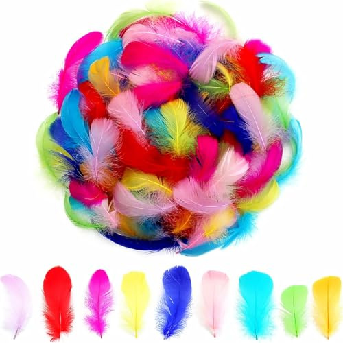 300 Pcs Craft Feathers, Soft and Vibrant Colorful Feathers Goose, Feather for Crafts for DIY Dream Catchers, Crafting, Easter and Wedding Home Party Decorations (8-11 cm/3.15-4.33 in, Small & Large)