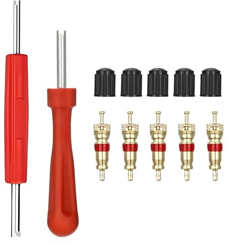 NOPVUFA Herramientas Coche 12 Piezas Kit Reparación Neumáticos Auto, Extractor de válvulas Monocéfalo, Bicéfalo Extractor Válvulas, 5 Insertos de válvula 5 Gorras para Camión Bici Moto