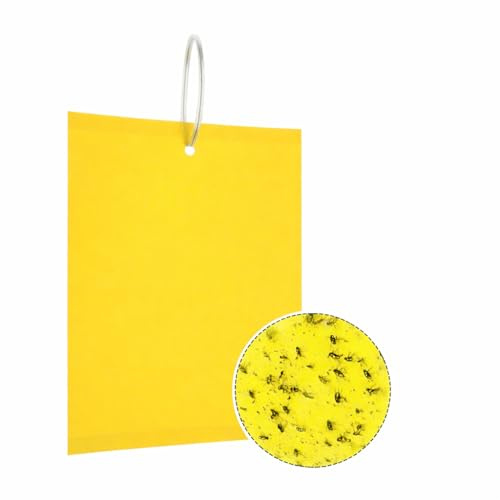 50x Gelbtafeln 15x20 cm PuraFly – Trauermücken bekämpfen: Klebrige Insektenfallen für Fliegen, Blattläuse, Thripse & Minierfliegen – UV- & Wasserfest – inkl. 50 Kabelbinder