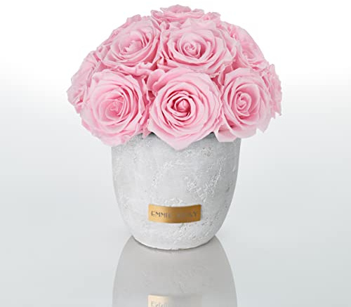 Solid Infinity Collection Traumhafte Rosen Infinity 1-3 Jahre, Betonvase mit echten konservierten Rosen, Premium Rose, Größe S (Hellrosa)