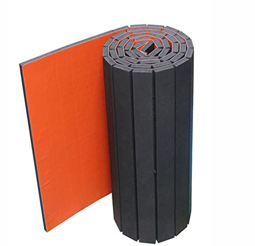 RajoNN Robuste Schaumstoff-Rollout-Gymnastikmatte, Wrestling-Tumbling-Fitnessmatten, langlebige Trainingsmatte für MMA, Takedowns und Übungen (Größe: 1,5 m x 6 m x 5 cm)