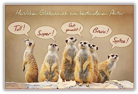 bsb Karte zum Abitur - Glückwunschkarte mit Erdmänchen-Motiv - liebevolles Geschenk zum Abitur - Glückwunschkarte mit Umschlag - Schulabschluss-Karte in 11,5 x 17,0 cm