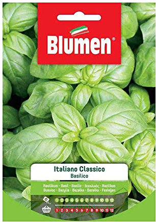 SEMI BASILICO ITALIANO CLASSICO GENOVESE BLUMEN SEMENTI ORTO
