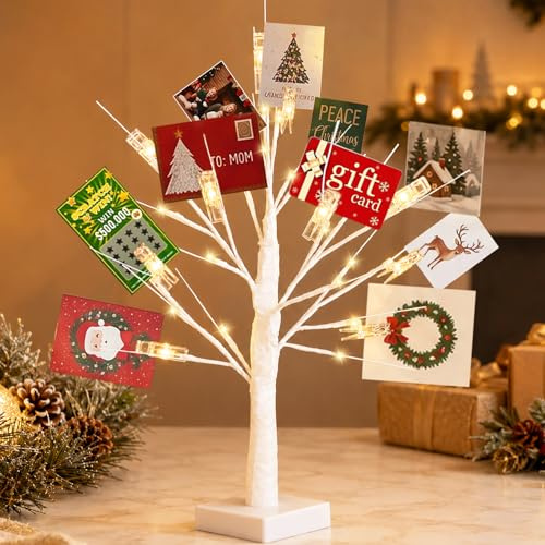 Ypdtacosu Money Tree Gift Holder, 2FT 24 LED Birch Tree with 12 Clear Clips, Battery Powered Lighted Display Card Trees for Christmas,Wedding, Photo Memo, Birthday Graduation（White）