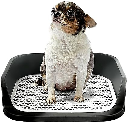 Inodoro para perros, aseo portátil con bandeja para casa interior, cachorro, balcón, aseo para perros Teddy Chihuahua, 50 x 40 cm, color negro