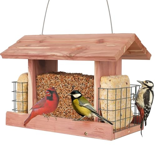 Solution4Patio US Cedar Hopper Bird Feeder for Outdoors Hanging, Handcrafted Wood Double Suet Cage & Clear View Windows, Squirrel-Proof Wild Bird Feeder for Cardinals, Finches, Chickadees