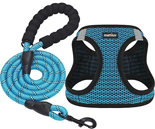 matilor - Arnés de Chaleco Transpirable fácil de Poner para Cachorros, Gatos y Perros pequeños y medianos, Color Azul