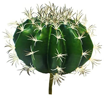 artplants.de Deko Kaktus Schwiegermutterstuhl TONGNA, Steckstab, grün, 18 cm - Deko Kaktus